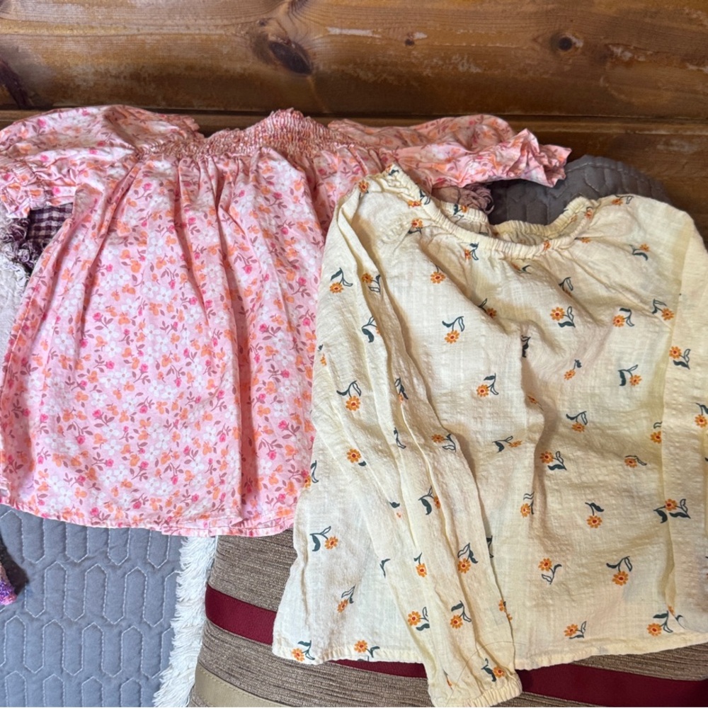 Cat & Jack (Set of Two) TODDLER GIRL Smocked Tops (SIZE 4T)